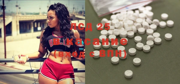 мяу мяу мука Баксан