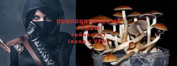 мдпв Сафоново