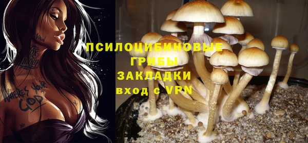 мяу мяу мука Баксан