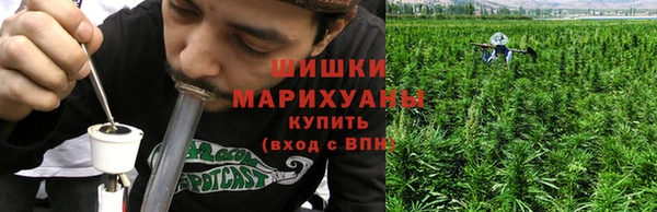 мяу мяу мука Баксан