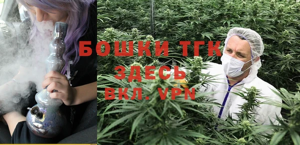 мяу мяу мука Баксан